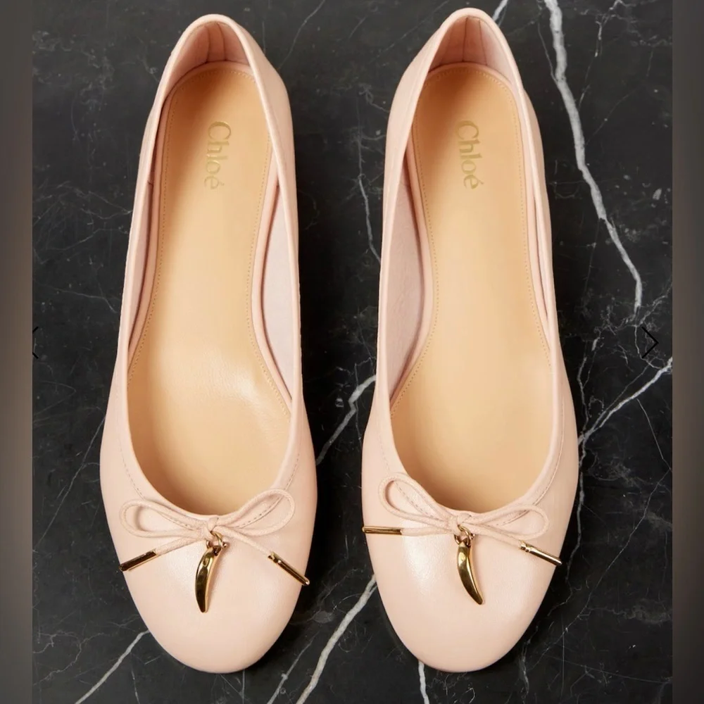 Chloé Iris leather ballet flats. Pink Blush. Size 41 New in Box. Authentic